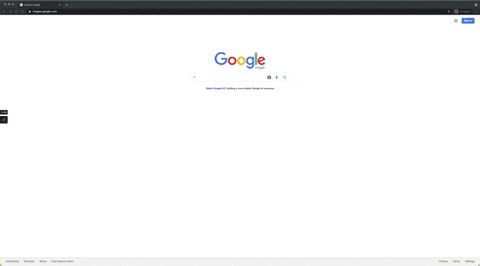 scottwyden giphygifmaker GIF