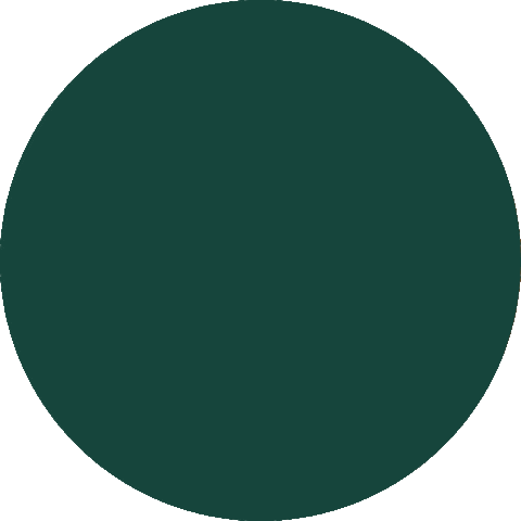 Monkey Zoo Sticker by Prima