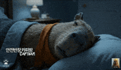 Wake Up Surprise GIF