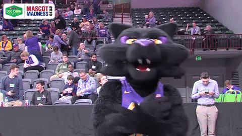 northern iowa ncaa GIF by Missouri Valley Conference