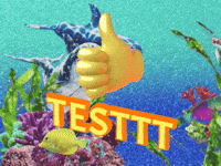 Testt