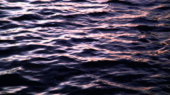 Water Waves GIF by Living Stills
