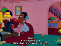 Season 2 Episode 13 GIF by The Simpsons