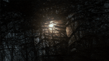 The Other Side Sun GIF by Maddie And Tae