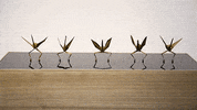 GIF by Digg