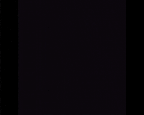 Logo Typography GIF by Beeld en Geluid