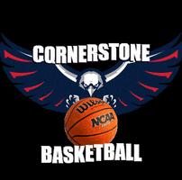 ccaeagle basketball eagles cca cornerstone christian academy GIF