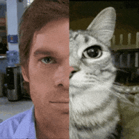 Axri dexter morgan GIF