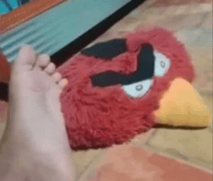 Angry Birds Bird GIF