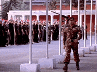 V1000 GIF
