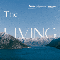 qyatirimholding montenegro dogo aol gezinomi GIF