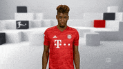 Fc Bayern Football GIF by Bundesliga