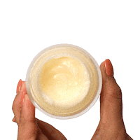 White Tea Skincare Sticker by Plum Goodness