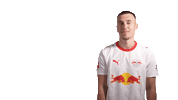 Red Bull Look Sticker by RB Leipzig