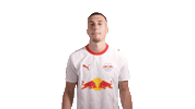 I Cant Hear You Red Bull Sticker by RB Leipzig