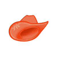 Sweet Sixteen Cowgirl Sticker by Austin Asian American Film Festival