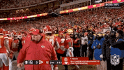 Kansas City Chiefs Football GIF by NFL
