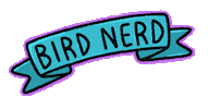 Bird Twitching Sticker