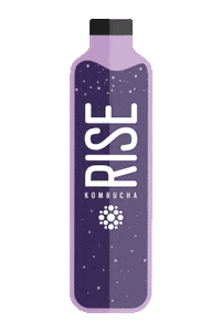 Lychee Sticker by Rise Kombucha