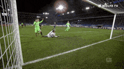 Football Sport GIF by VfL Wolfsburg