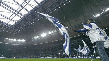 Football Soccer GIF by FC Schalke 04