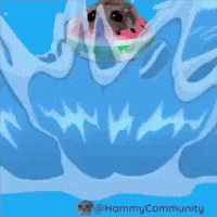 Water Sinking GIF by Sad Hamster