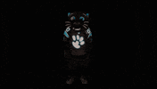 Football Sport GIF by Carolina Panthers
