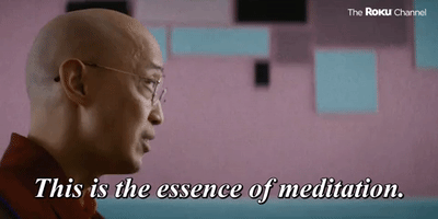 The Essence of Meditation