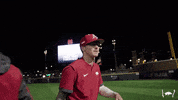 Ncaa Baseball GIF by Arkansas Razorbacks
