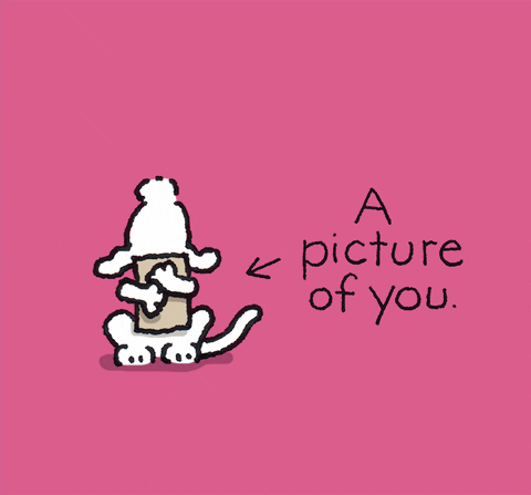 i love you your pics GIF by Chippy the Dog