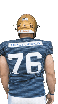 Football Flex Sticker by Dresden Monarchs