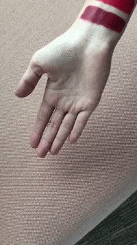 Yvesrocherma  GIF