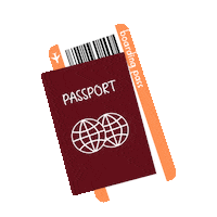 KiomaraPiana travel trip viajar viajes Sticker