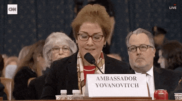 news impeachment impeachment inquiry impeachment hearings day two marie yovanovitch GIF