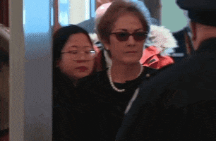 impeachment marie yovanovitch GIF