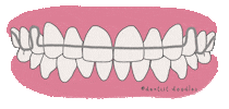 Orthodontics Retainer Sticker