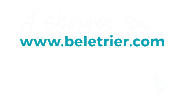 Beletrier beletrier ashoppersurbeletrier Sticker