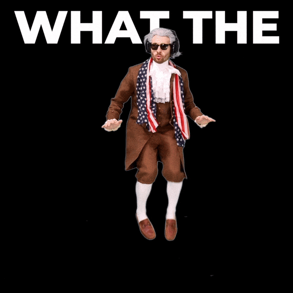 What The Hell GIF