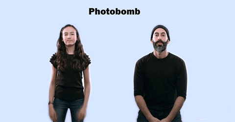 asl GIF by Digg