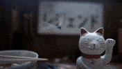 Drifting Car Racing GIF