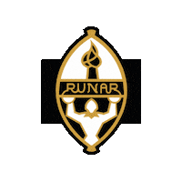 Rema1000Ligaen Runar Sticker by Norsk Topphåndball