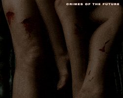 David Cronenberg Body Horror GIF by Madman Films