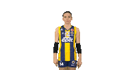 fbvoleybol volleyball fenerbahce fbvoleybol eda erdem Sticker