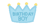 Birthday Boy Sticker by zoopeez