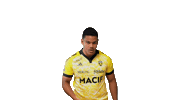 Sport Celebration Sticker by Stade Rochelais