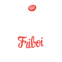 Bbq Grill Sticker by MATURATTA FRIBOI BRASIL