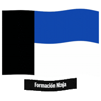 Flag Spain Sticker by Formación Ninja