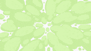 frame-by-frame animation GIF by zutto