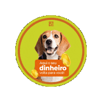 Cashback Petland Sticker by Caroline Lima