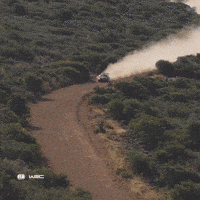 Driving Fast Car GIF by FIA World Rally Championship